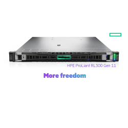 Serveur HPE ProLiant RL300 Gen11 AI