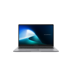 Ordinateur portable Asus ExpertBook P1 (P1503CVA-NJ0991)